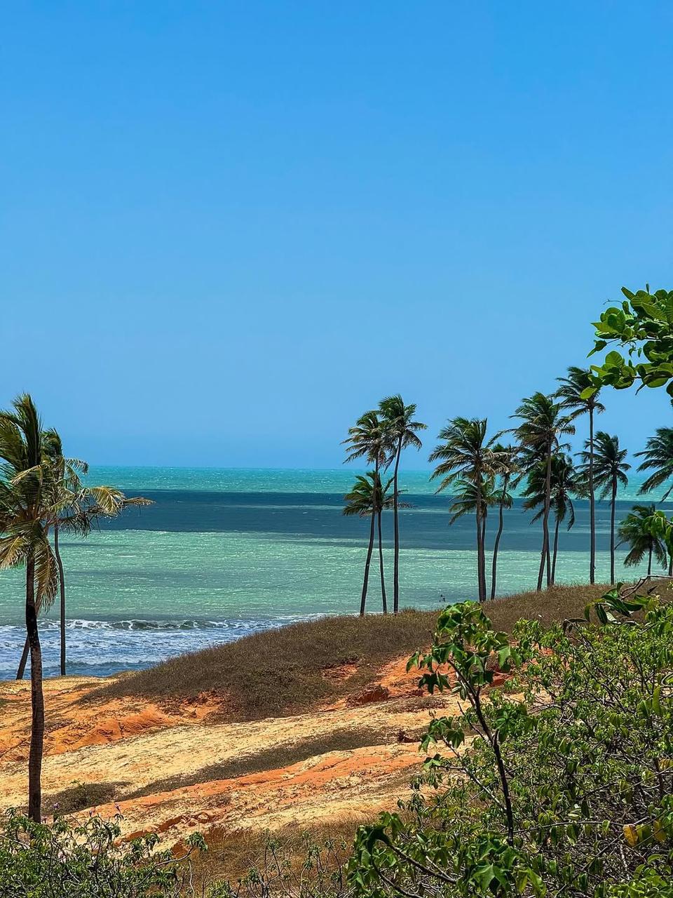 Praia de Lagoinha – vista aérea