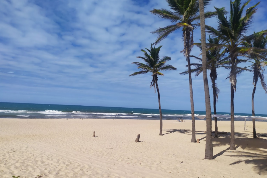 3 Praias – buggy no litoral